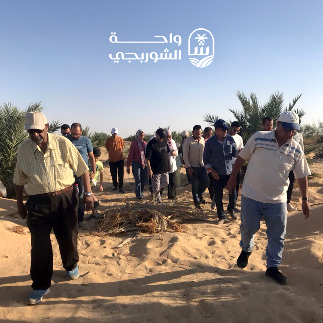 Investor Visits to ElShorbagy Farms